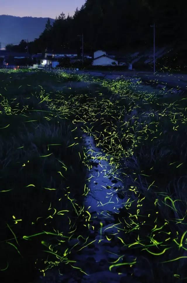 悬崖跳水运动