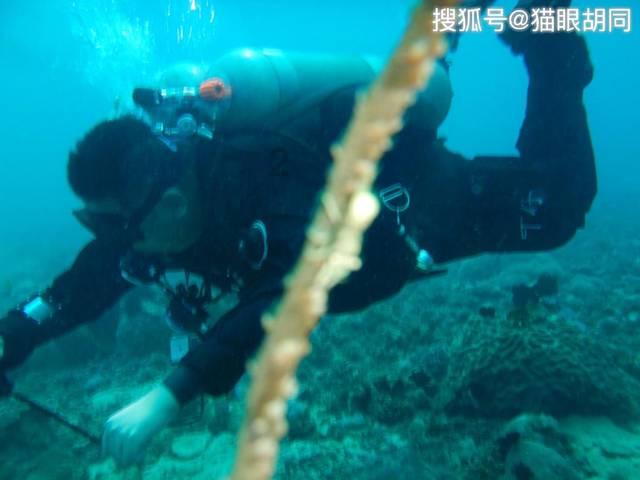 绯雨骑士团